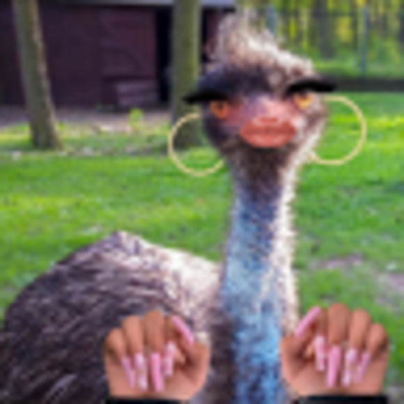 chikinuggs